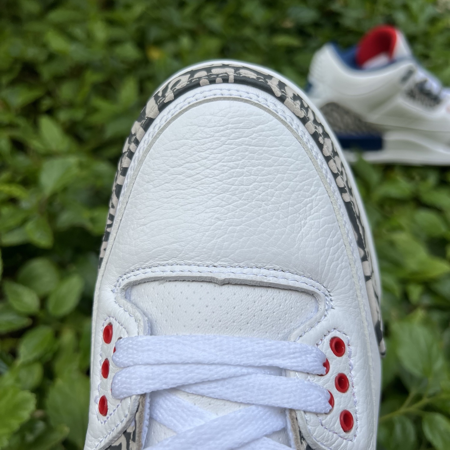 Nike Jordan shoe